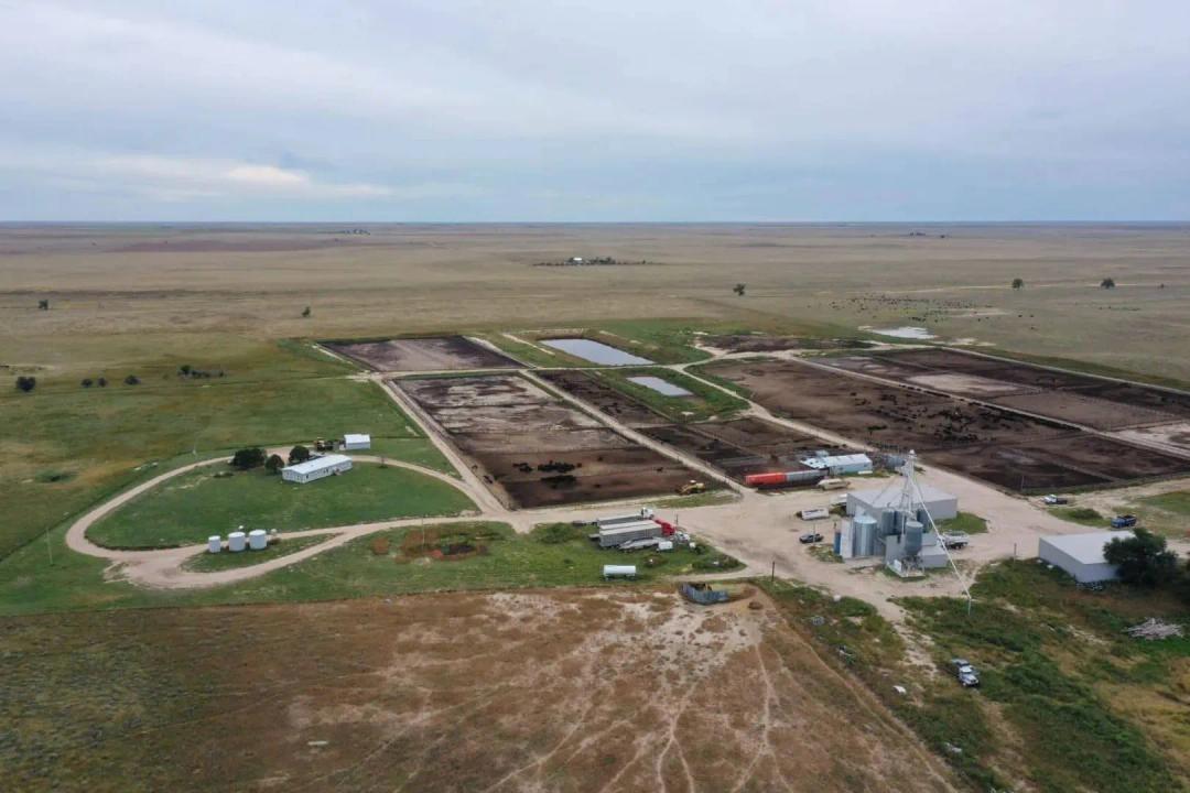 Cheyenne County Co Feedlot & Ranch #25043