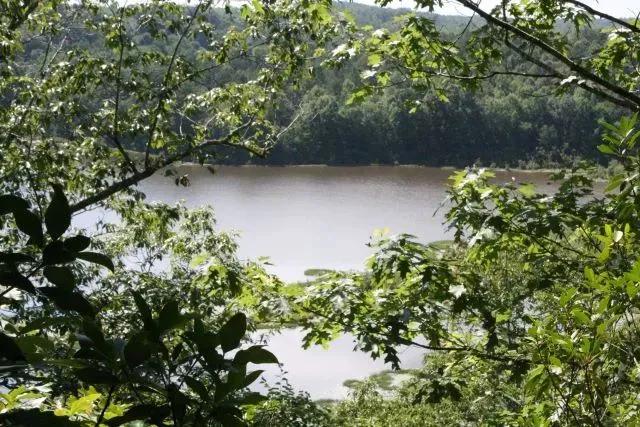 Bugs Lake East Tract