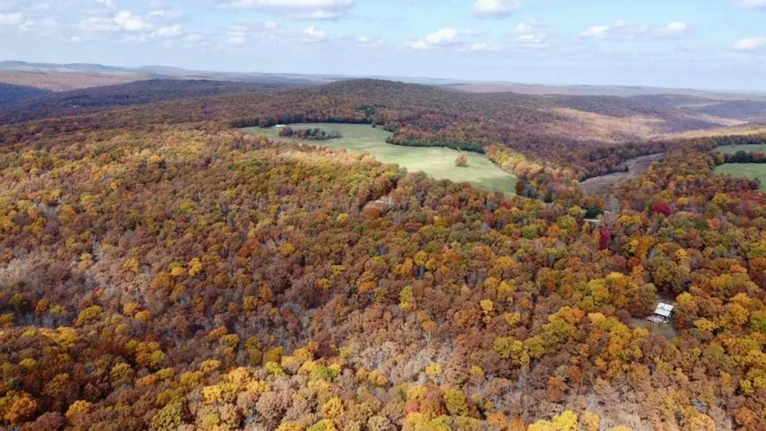 Ozark National Forest Getaway