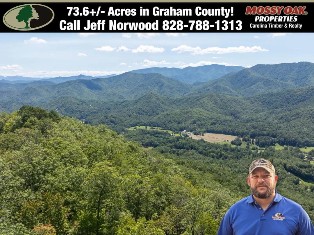 73+/-Ac Bordering Over 3,000Ft Of U.S. Forest Service!