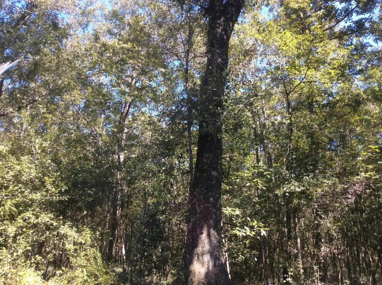82445562-0