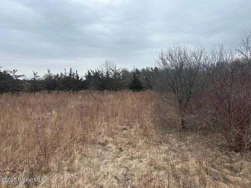 1.24 Acres at 97 Hills Drive