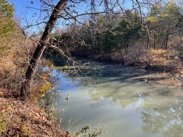 Boggs Hollow Creek Tract 4