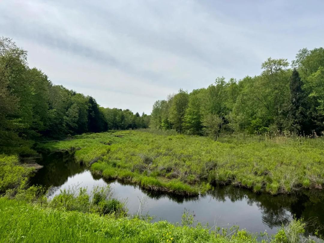 Private RV or Camp Getaway in Central New York