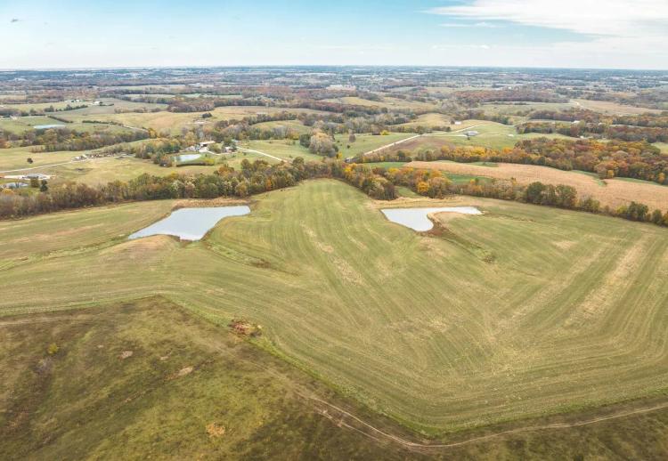 163+/- Acres in Bible Grove, MO
