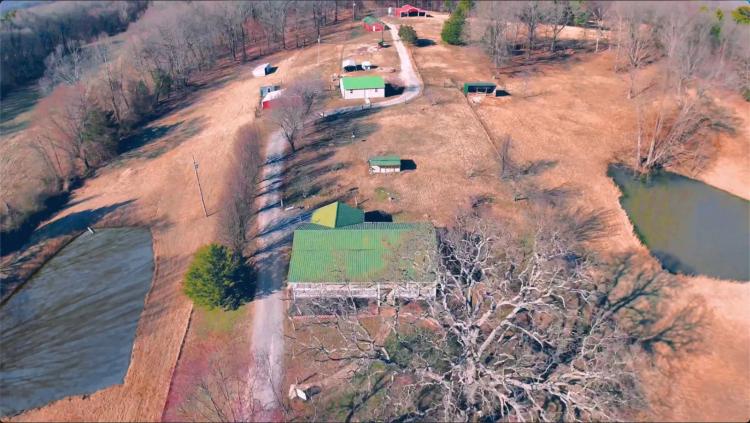 Private Blueberry Orchard &amp; Animal Farm on near 60 acres!