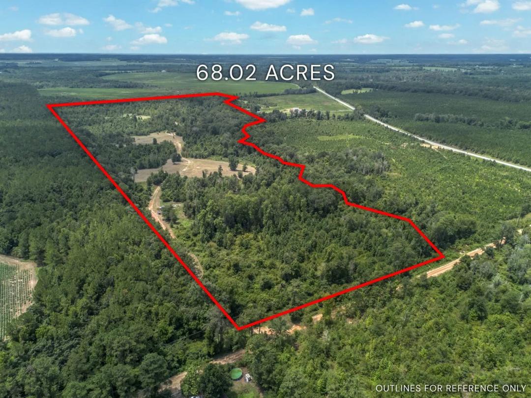 68.02 Acres - Nicholson-Carr Road, Dodge County