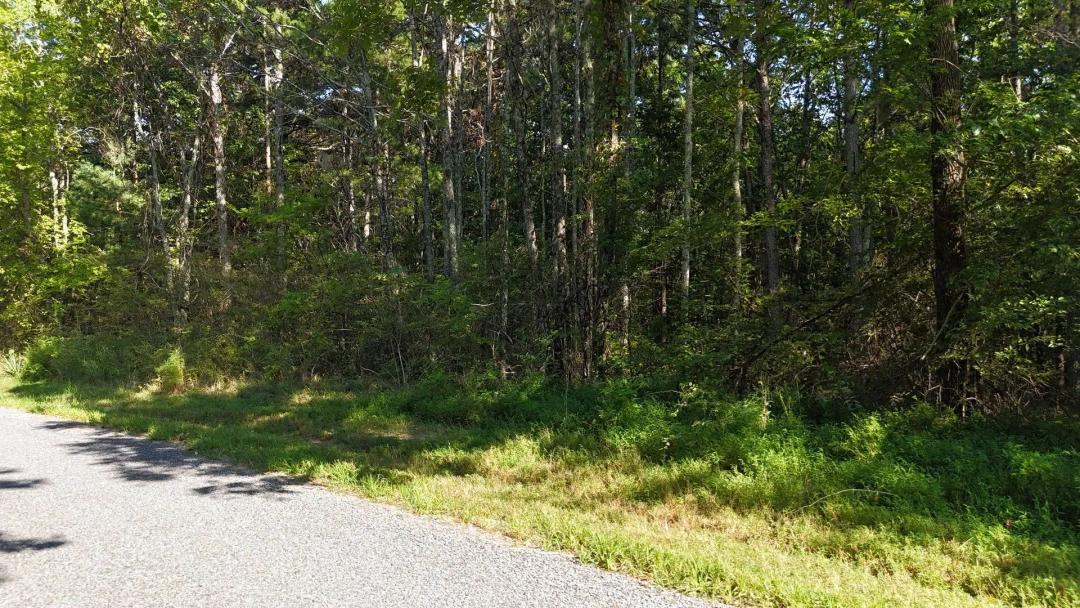 Mentone Mountain Hideaway 9.94 ac.