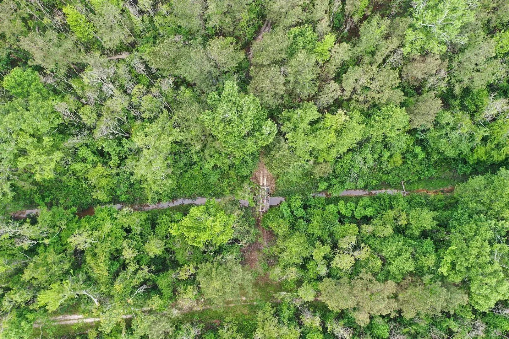 82545958-28