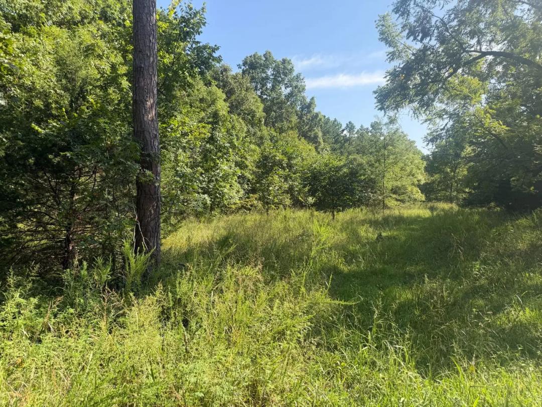 000 Aspen Rd, Richwoods, MO-Washington Co. 75.99 +/- Acres