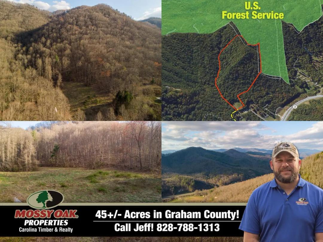 45+/- Acres in Graham County Bordering Forest Service Land!