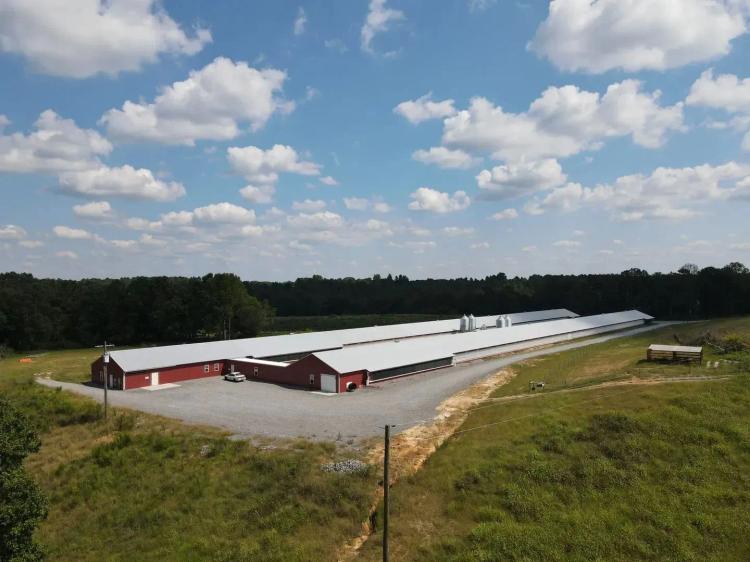 NEW PRICE - Bryant Breeder Farm – Two 600′ Breeder Houses in Cullman County, AL