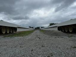 82588657-5