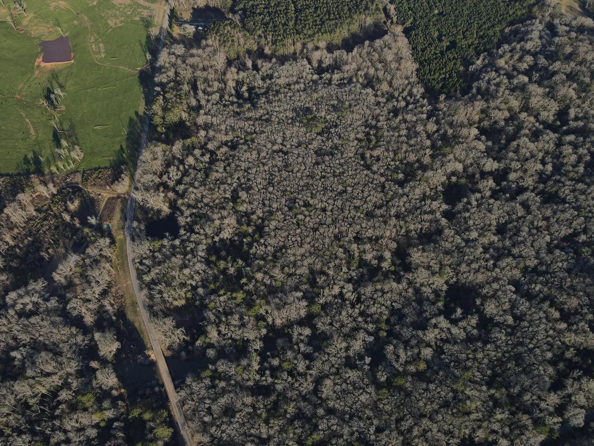 82604493-17
