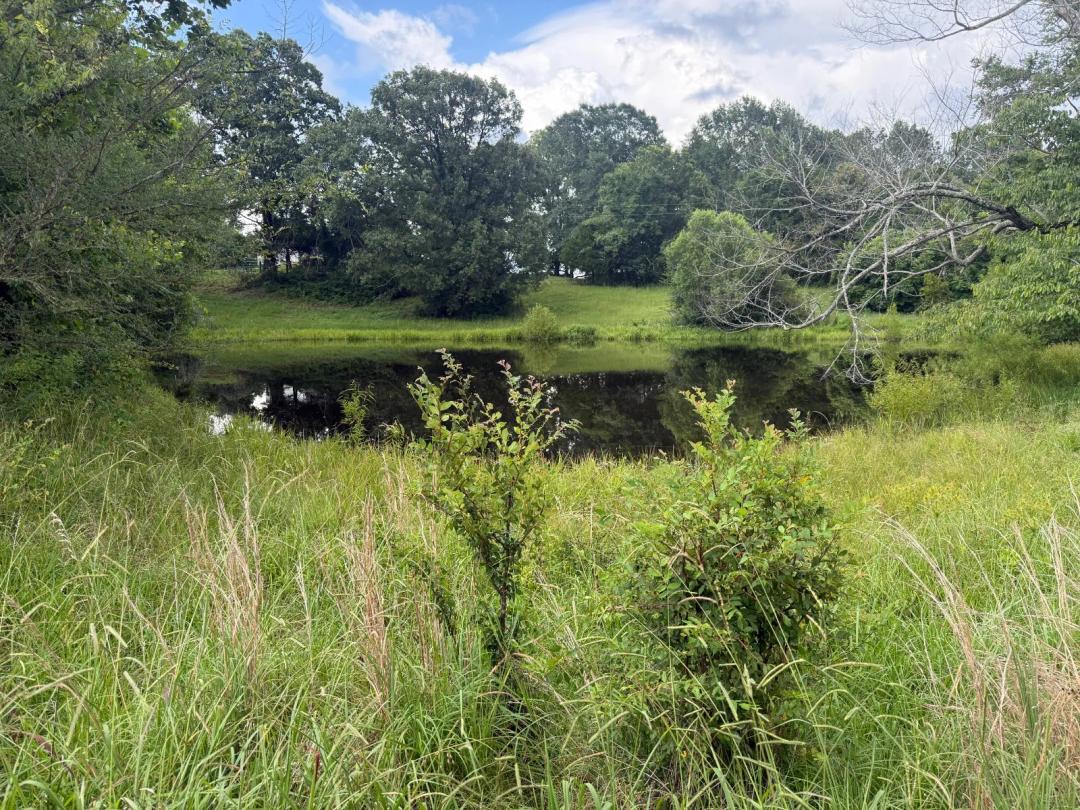 Beautiful small acreage farm with pond