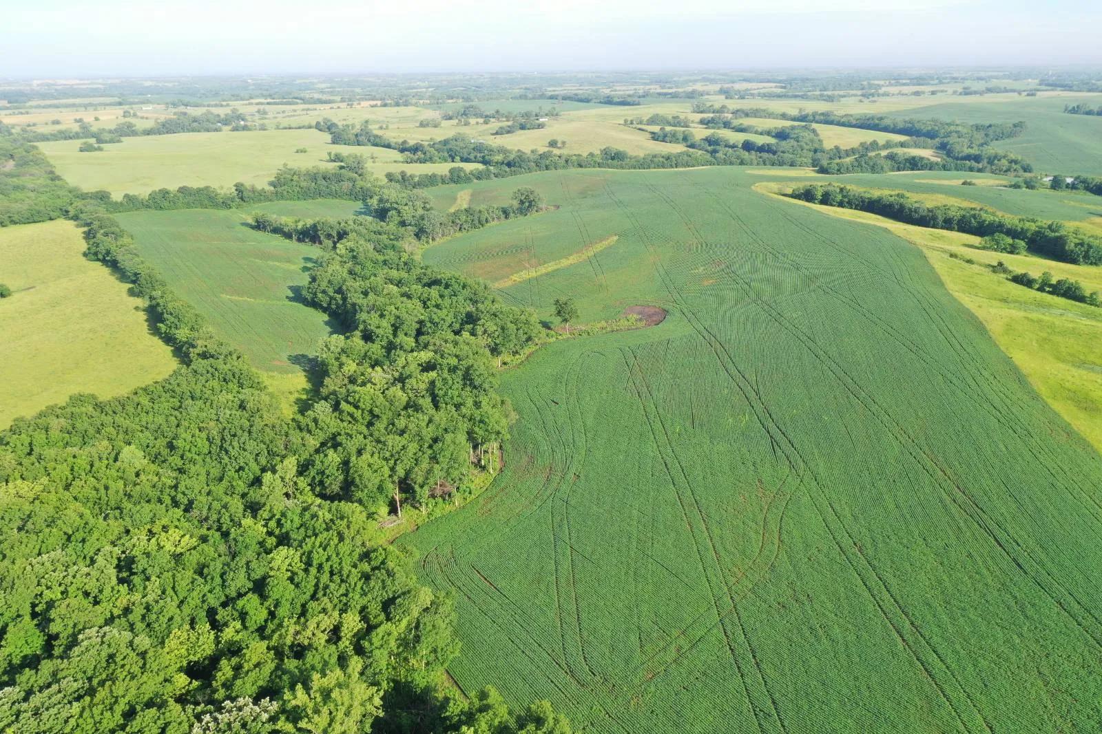 8267759-4