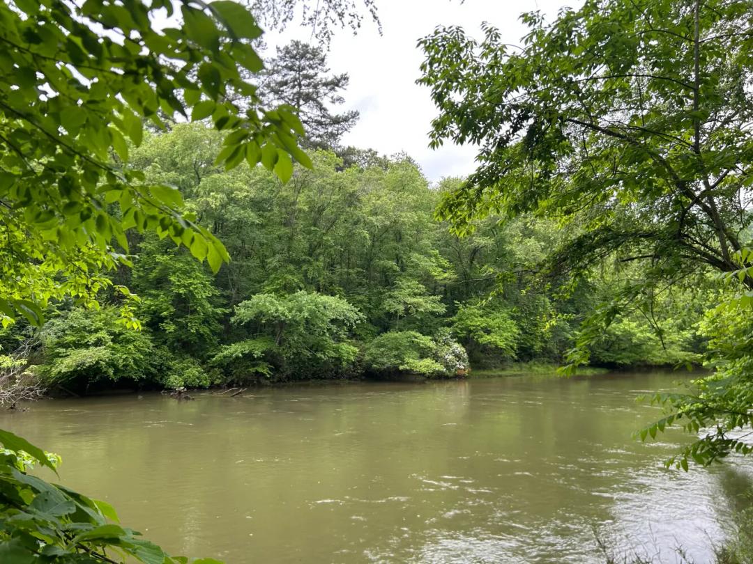 6.58 Acres at 0 N Toccoa River Road Tract 1A
