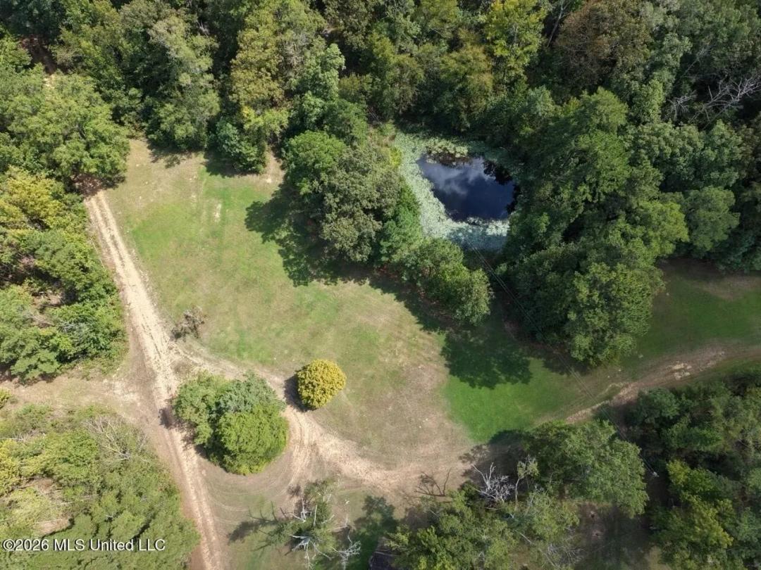 200± Acre Hunting Property in Jefferson County, MS