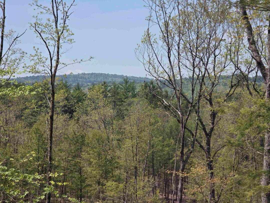 2.00 Acres at  Map 417 Shannon Road