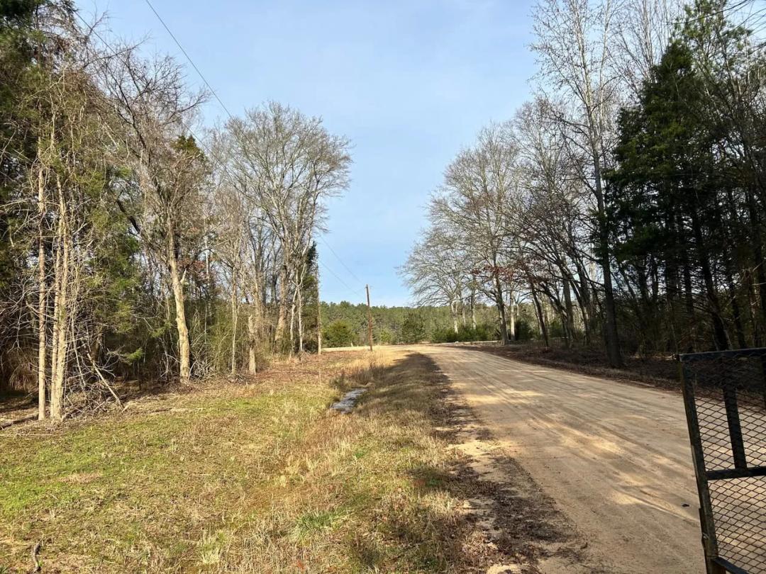 Gainesville Estates - Recently Surveyed & Cleared Lots
