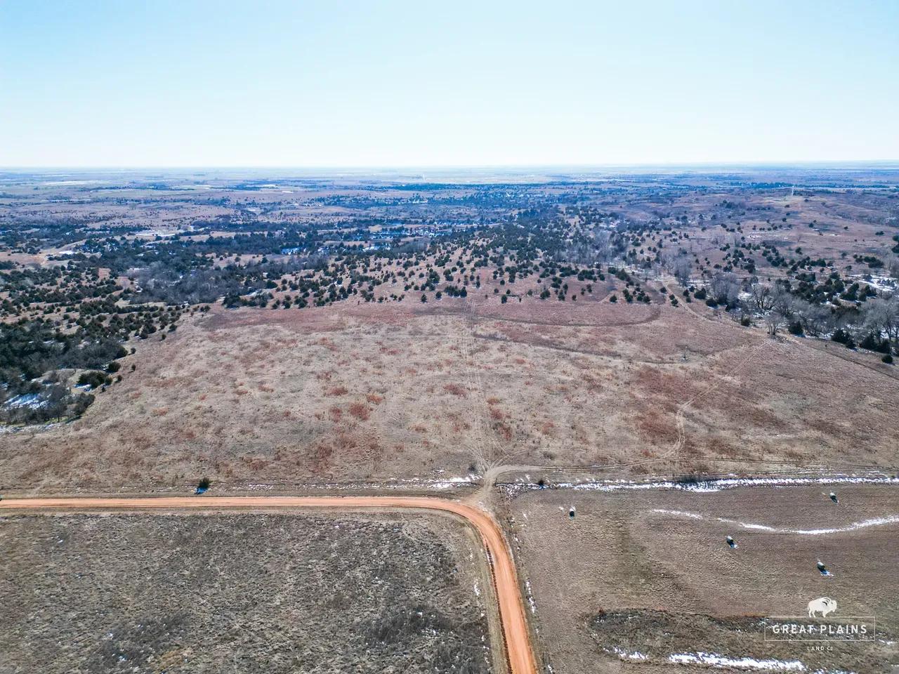 82835445-77
