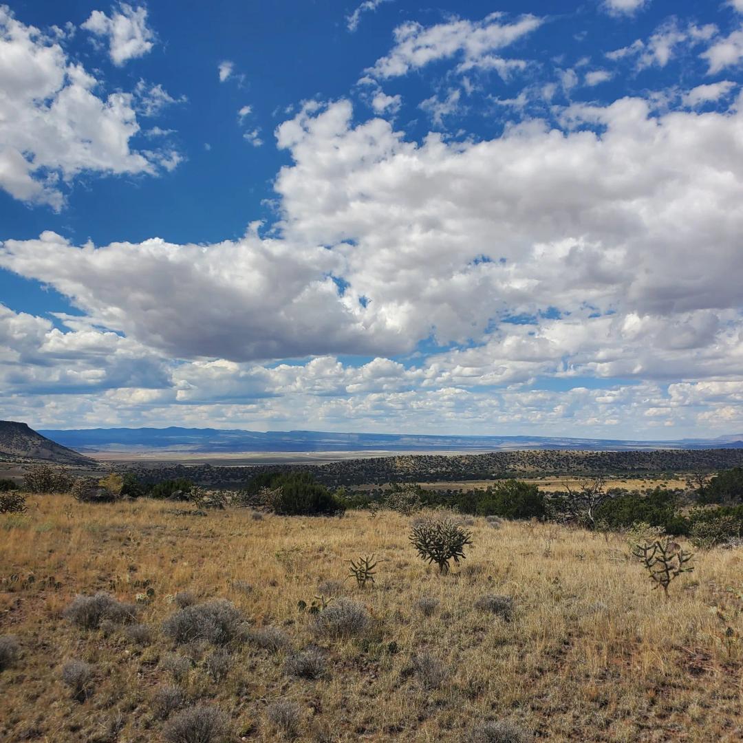 Lot 12 Cantina Acres