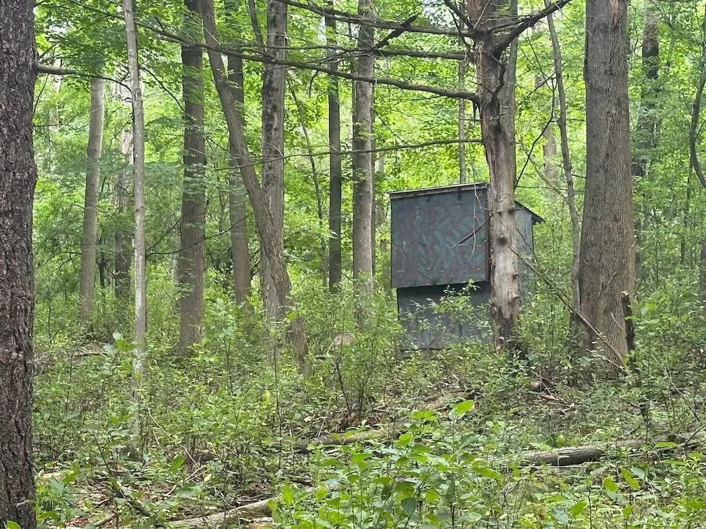 5 acres Hunting Land and Recreational Land with Owner Financing near State Land in Granger NY Flat Iron Road Lot 5