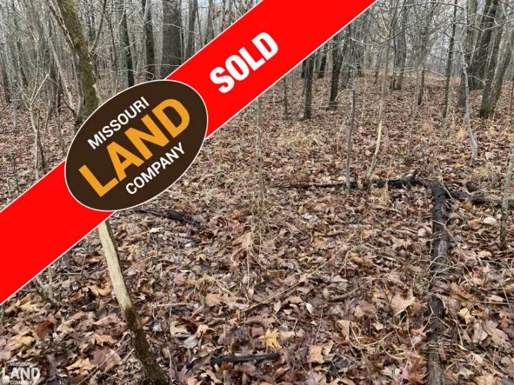 145 Acres with Great Hunting Climax SpringsMo