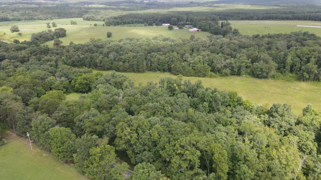 23 Acres in Bledsoe County, TN 