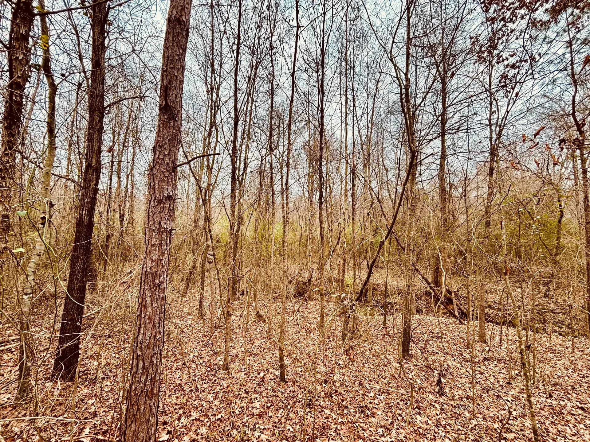 8299815-1