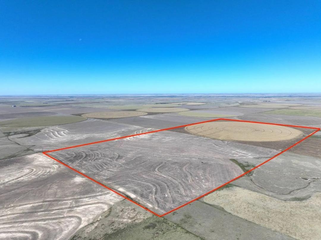320± AC IRRIGATED &amp; DRYLAND CROPLAND - CHEYENNE COUNTY, KS