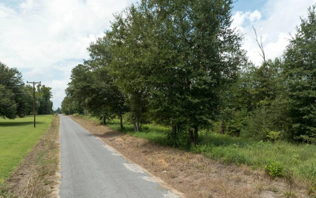 Evergreen Trace - Lot #11