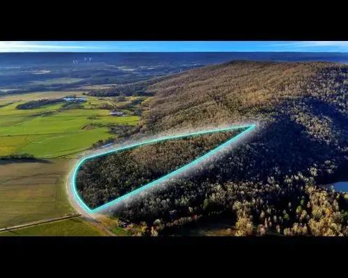 Poorhouse Mountain Point Property