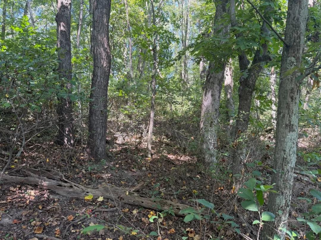 0 Mount Tabor Road, Staunton, VA 24401