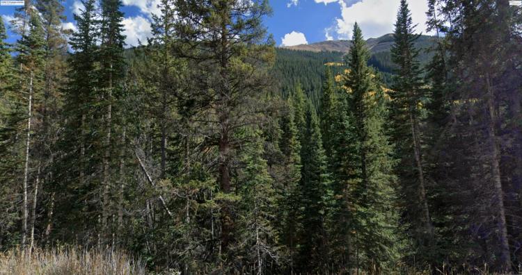 Small lot in Berthoud Falls Colorado with West Clear Creek - Camping lot - Trees