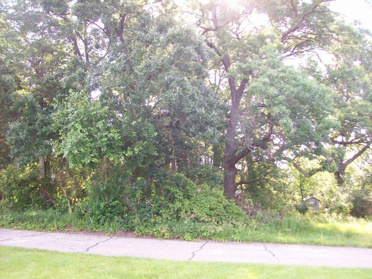Buildable Lot Dalton Wisconsin