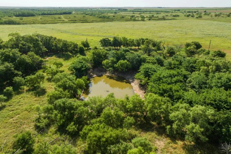 Perdue Pasture