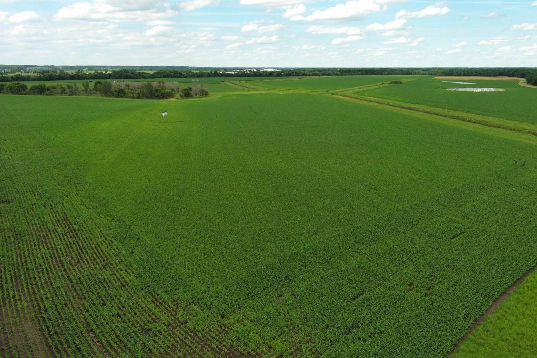 The Knudtson Farm