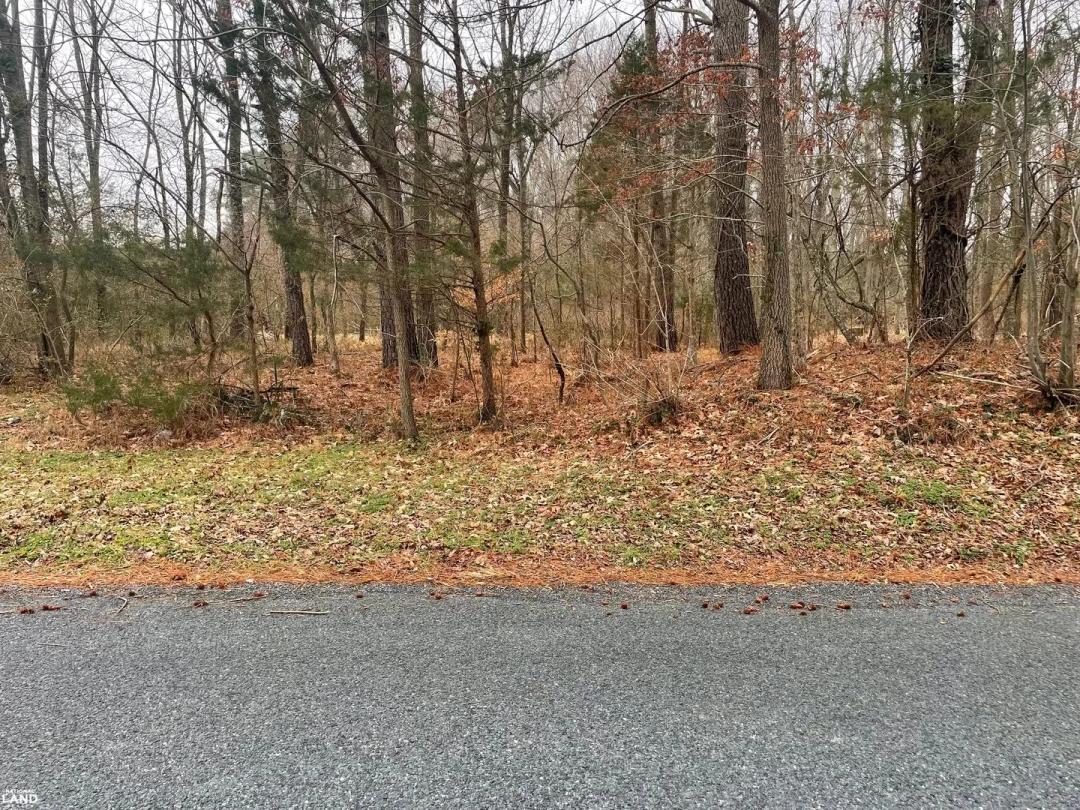 Wetipquin Road Homesite Lot