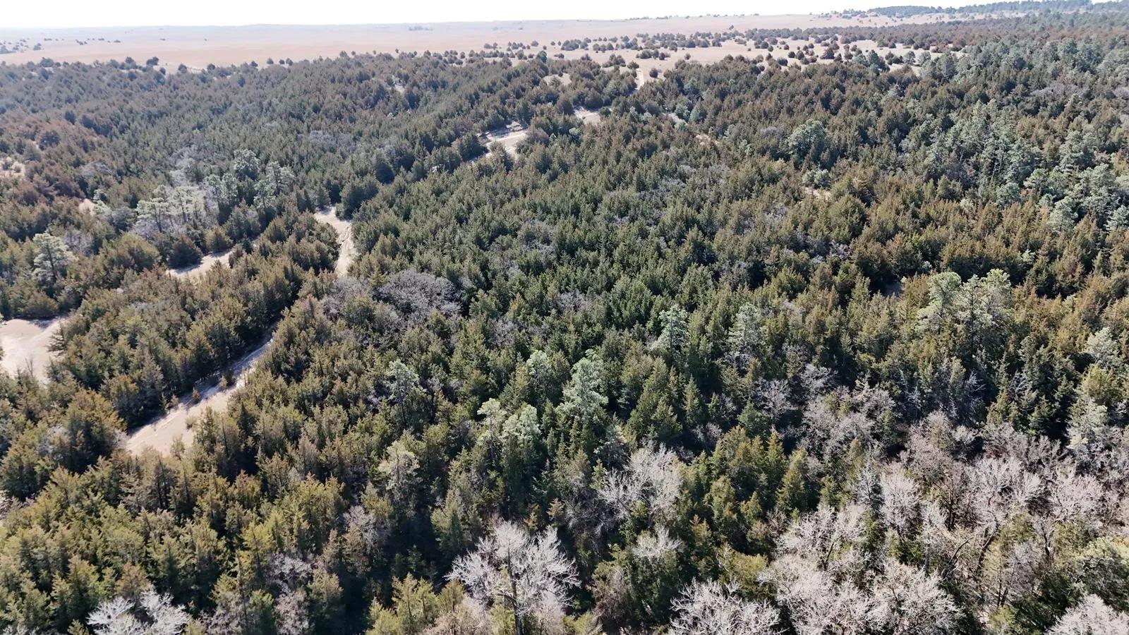 DJI_20250407111049_0072_D (Copy)