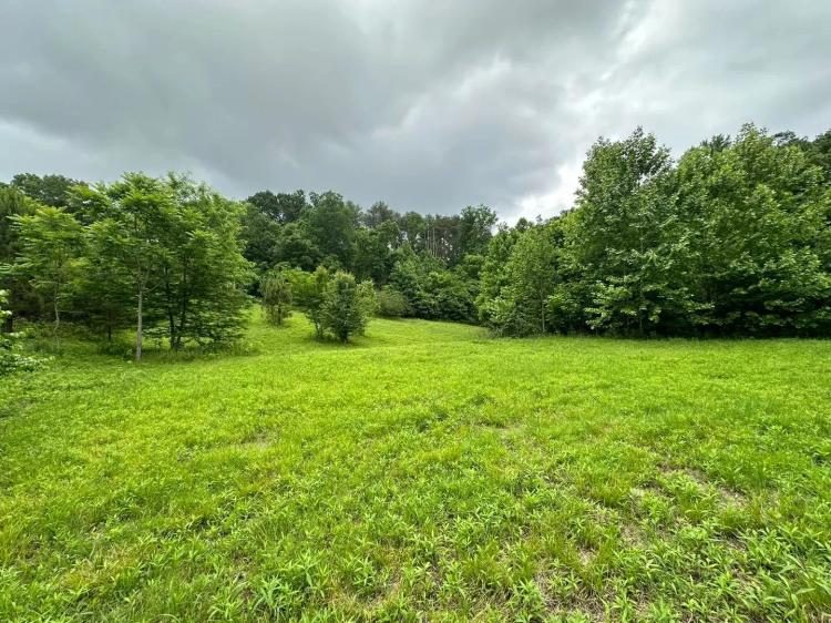 90 Acres &amp; Homesite - Cullman Co.