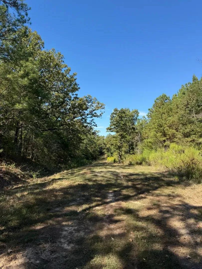 26.1 Acres in Madison County, MS 