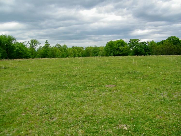 107 Acres of Seclusion to Hunt, Graze or Build your Home