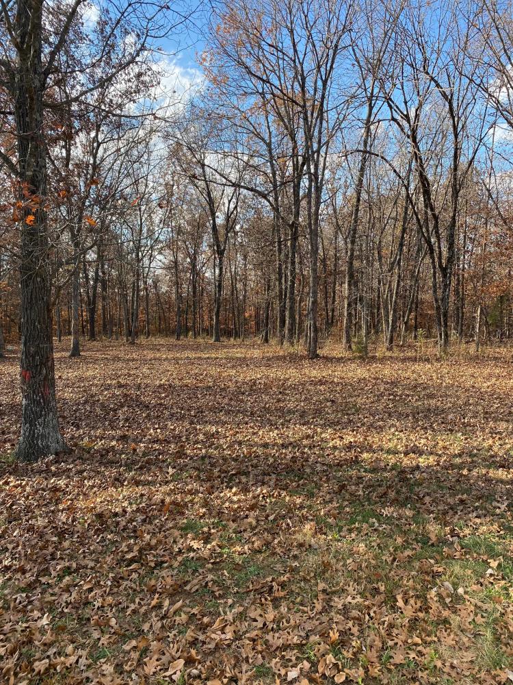 Home and 6 Acres in Cadet