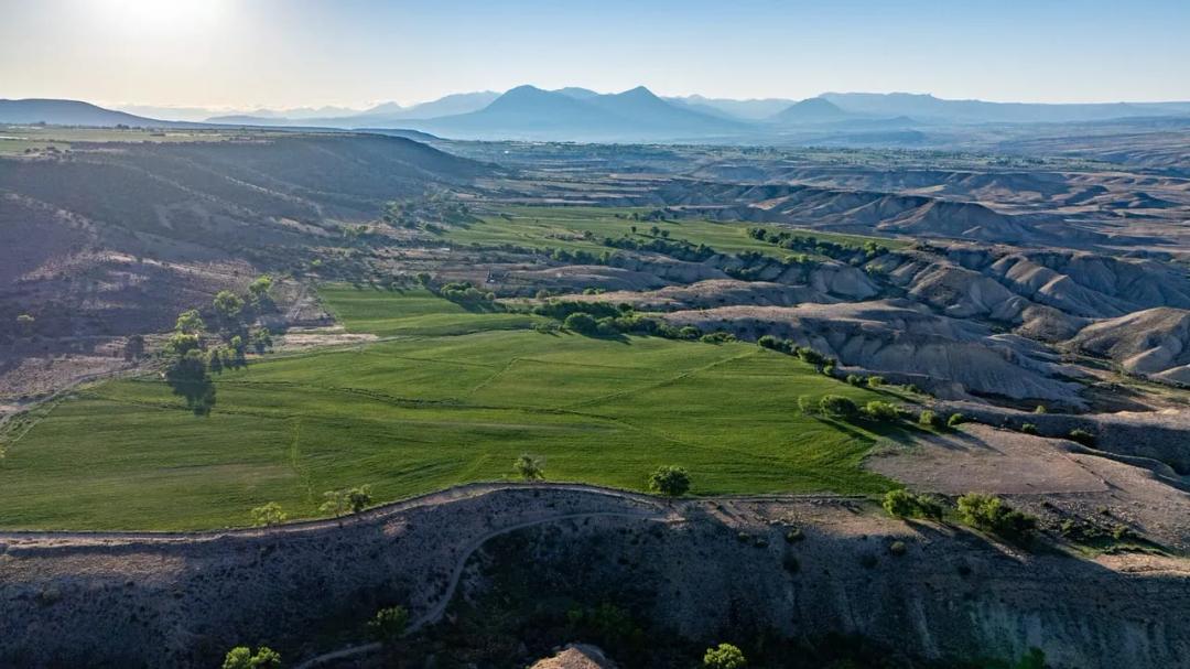 The Shamrock Ranch
