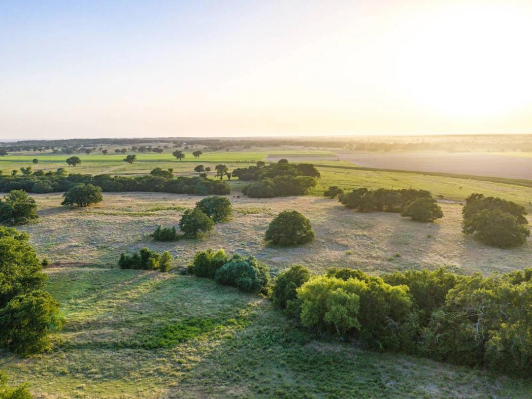 The Lewis Ranch