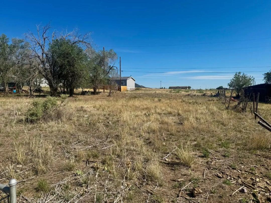 Maple, Aguilar, CO 81020