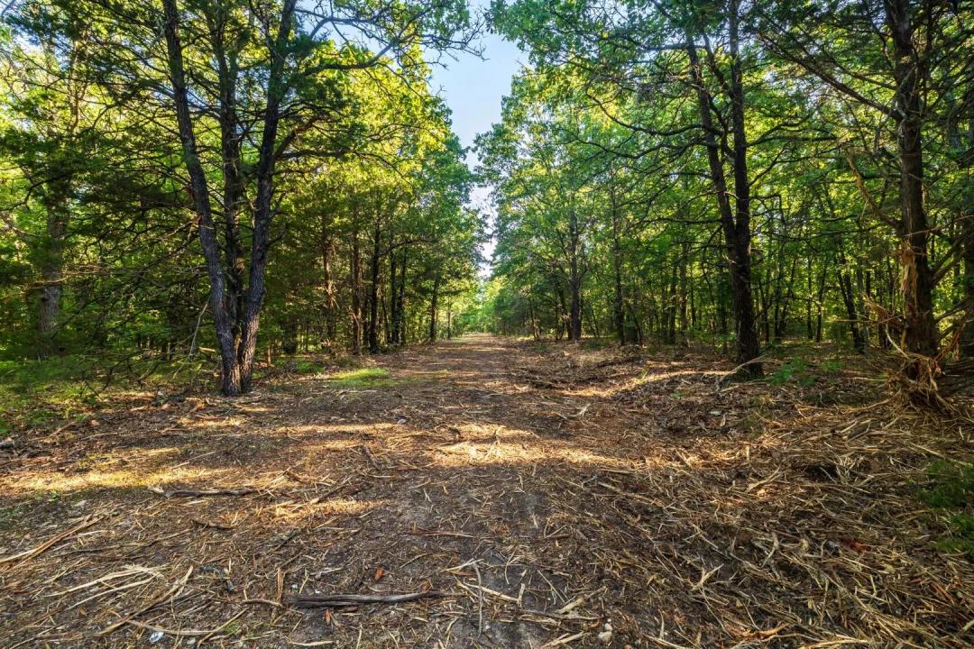 Missouri Ozarks Retreat: 21.28± Acres of Wooded Seclusion – St. Clair County
