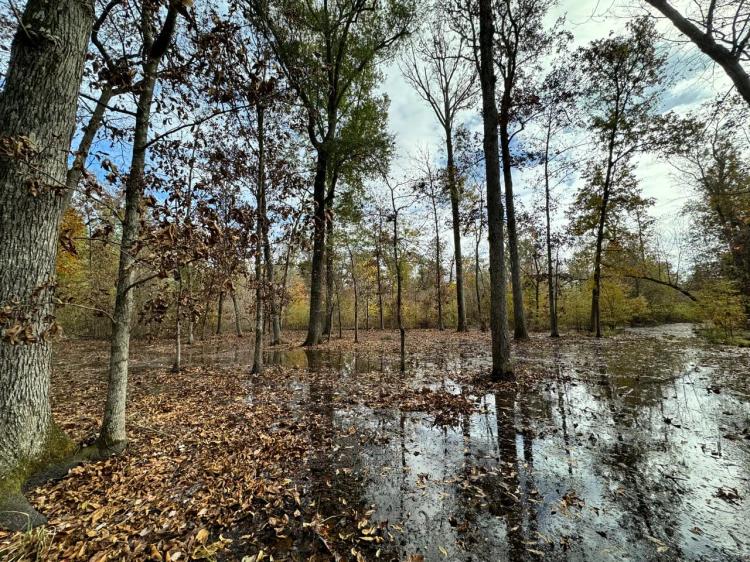 PRICE REDUCED - 320 +/- Acre Green Tree Reservoir