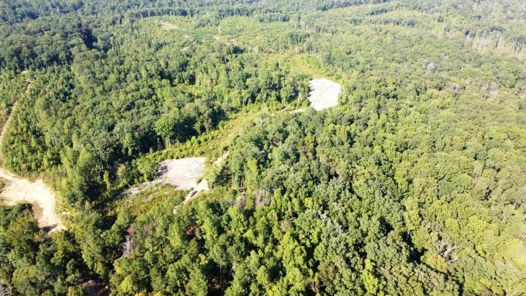 Moreland Property